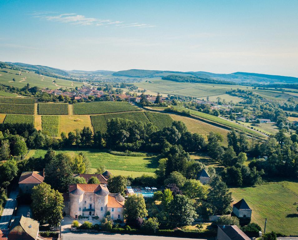 Chateau D'Ige Экстерьер фото