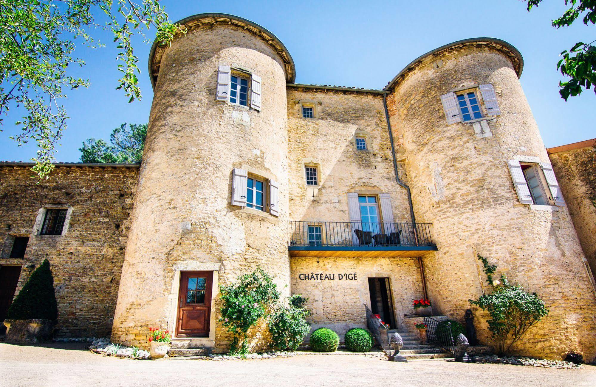 Chateau D'Ige Экстерьер фото